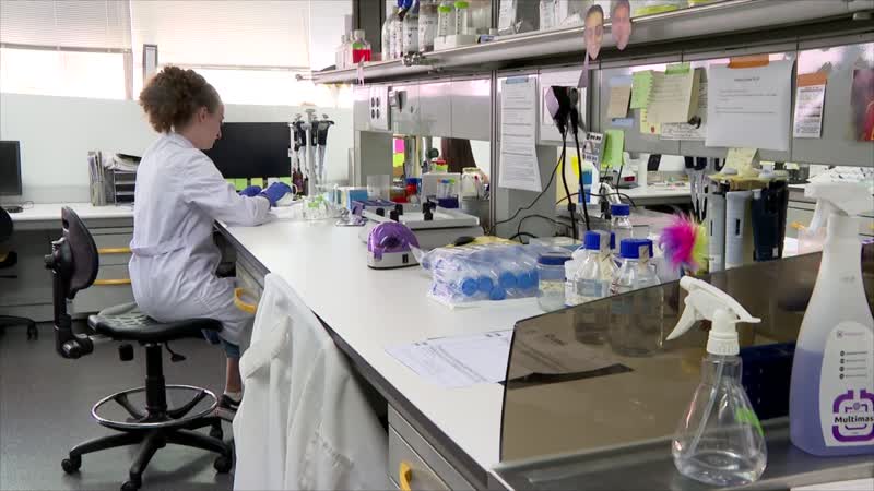 El Incyl desarrolla una nueva vía para frenar la pérdida de neuronas 