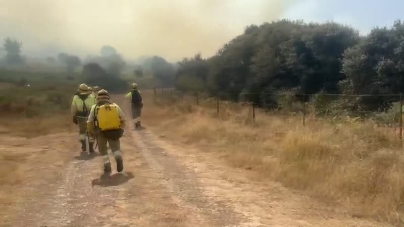 La Diputación destina 1,5 millones a los planes contra incendios en la provincia