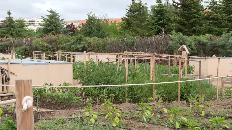 El Ayuntamiento creará 128 nuevos huertos urbanos junto al Paseo de la Estación