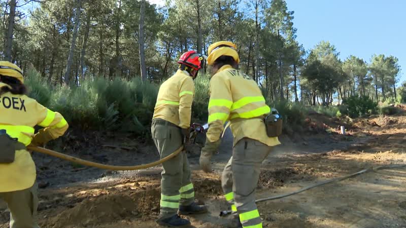 Castilla y León y Extremadura practican su coordinación ante los grandes incendios