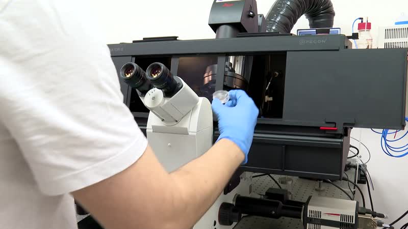 Los microscopios de alta precisión, factor clave en la lucha contra el cáncer