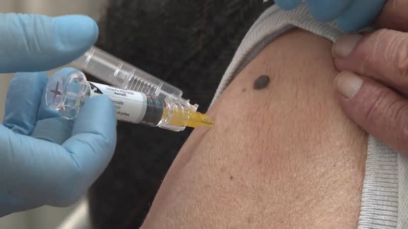 Vacunarse contra la gripe es recomendable para toda la población