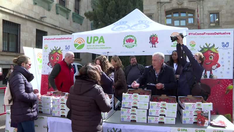 Multitudinario reparto de fresas en apoyo de los agricultores