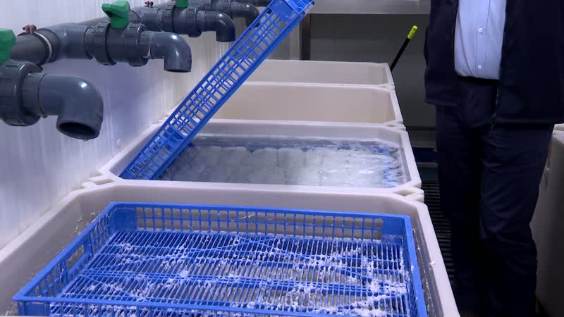 La Diputación respalda a los emprendedores rurales en Macotera