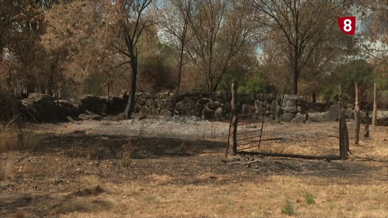 Disconformidad entre el campo con las ayudas por el incendio