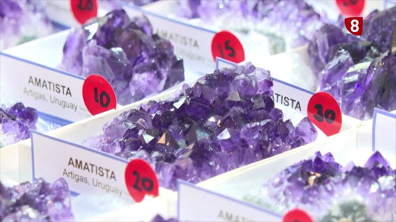 Feria de minerales en la Escuela Politécnica Superior de Ávila