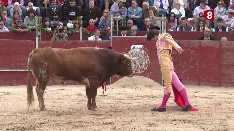 Burladero Novillada El Hoyo de Pinares 03-10-2025