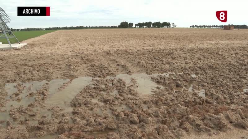 Declaración como excepcional la campaña agrícola 2025-2026