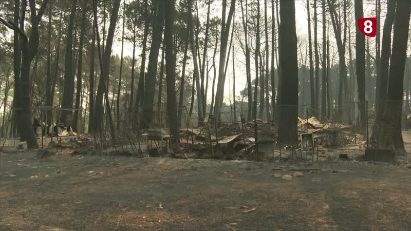 Con 90.000 hectáreas arrasadas, es el mayor incendio de la historia de España