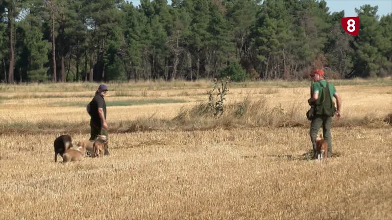 La Federación de caza de Castilla y León ayudará a los cotos arrasados por el fuego