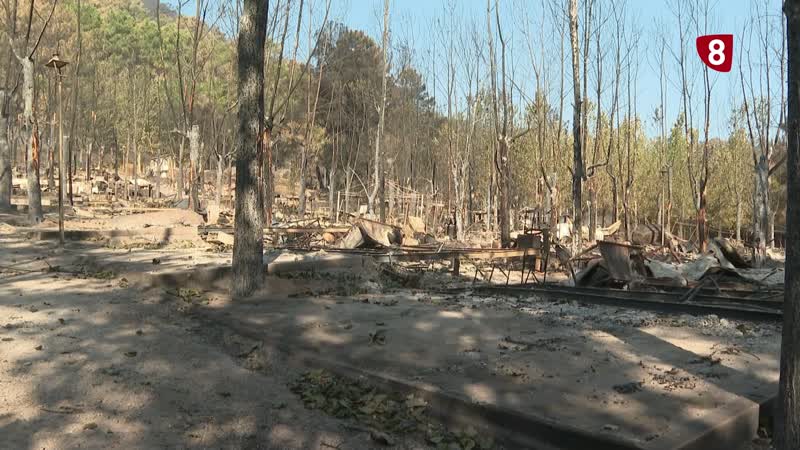 El incendio originado en Burgohondo deja una huella profunda en Iruelas