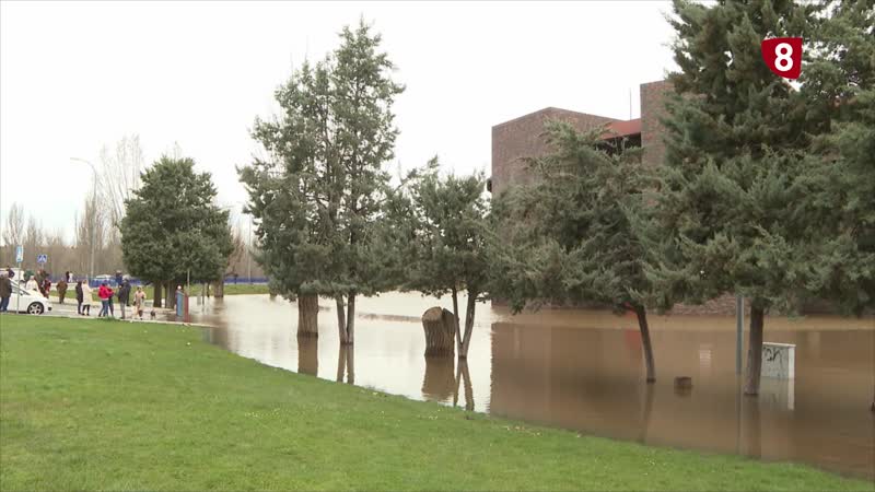 La Junta de Gobierno aprueba reparaciones en la plaza de toros por la borrasca Martiño
