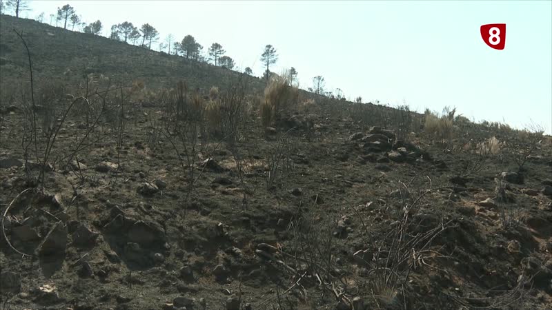 Casi 4 millones de euros iniciales de ayudas para las zonas afectadas por los incendios 
