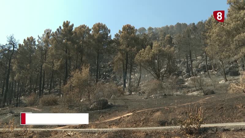 La reserva natural del Valle de Iruelas ha quedado arrasada por las llamas