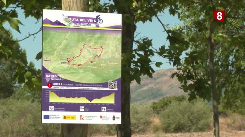 Cuatro rutas de enoturismo en Cebreros