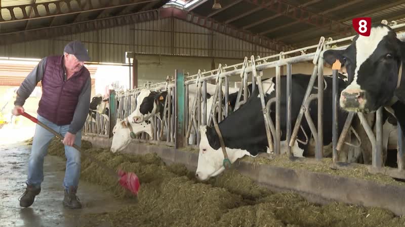 Los ganaderos de leche creen que la situación es insostenible
