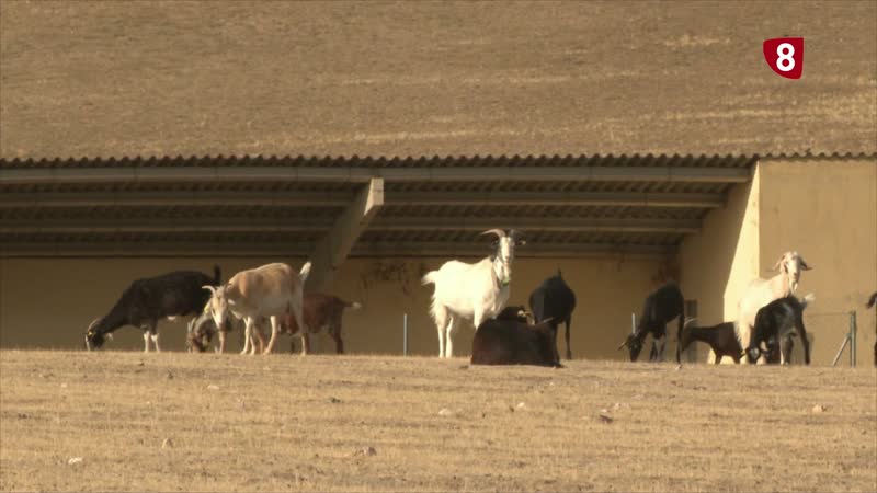 Proyecto Previbio por una gestión sostenible de la vegetación