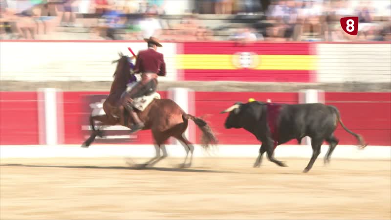 Burladero. Toros en Arenas de San Pedro. 05-09-2025