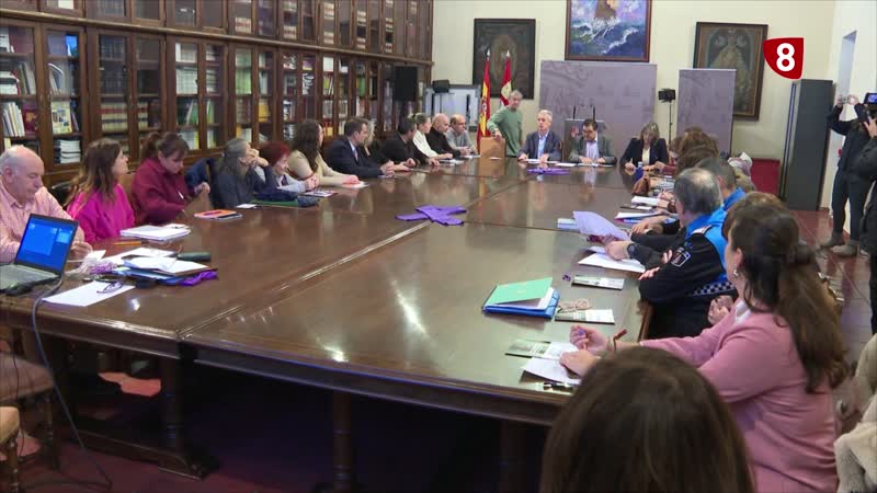 Comisión territorial contra la violencia de género