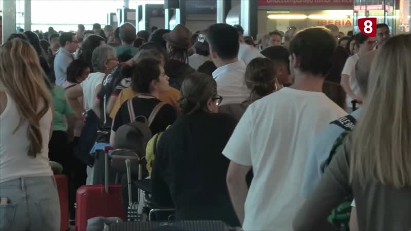 Importante incremento en las vacunas internacionales