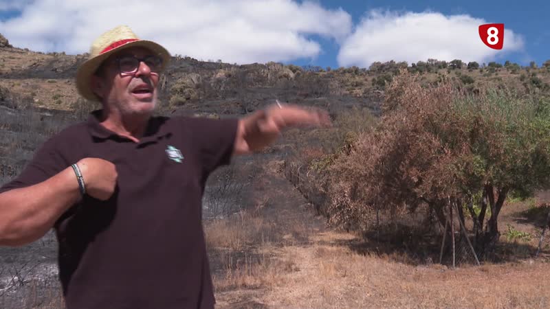 Miles de hectáreas arrasadas por el Incendio de Fermoselle 