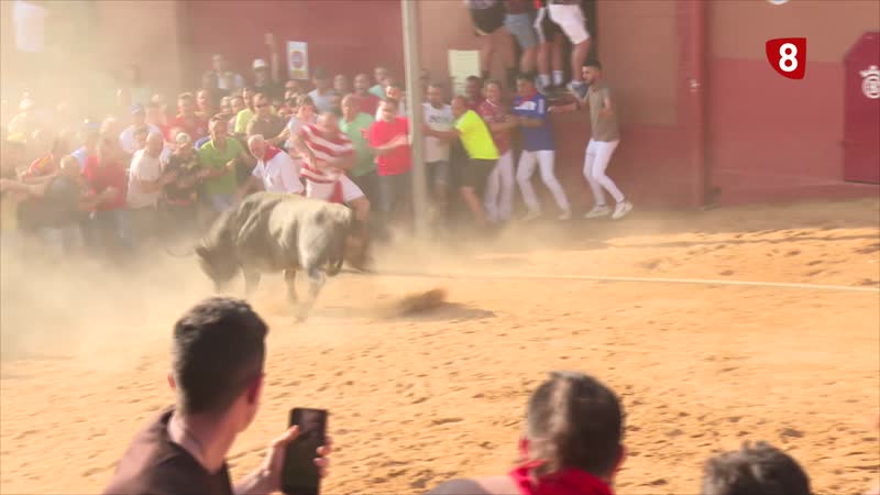 El Ayuntamiento de Benavente recibe el Premio a la Tauromaquia por la conservación y el fomento de su Toro Enmaromado