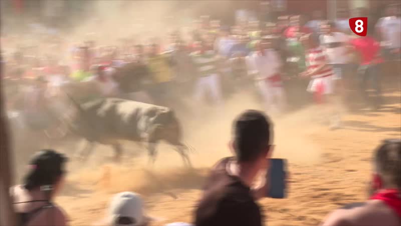 El Ayuntamiento de Benavente recibe el Premio a la Tauromaquia