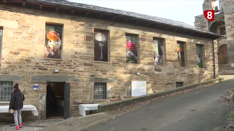 Escuela Micológica de Ungilde 