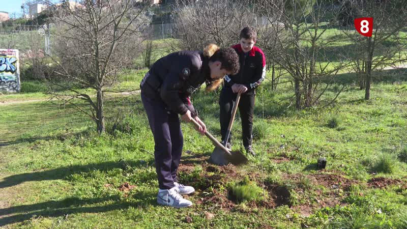 Intercambio Erasmus en el IES La Vaguada 