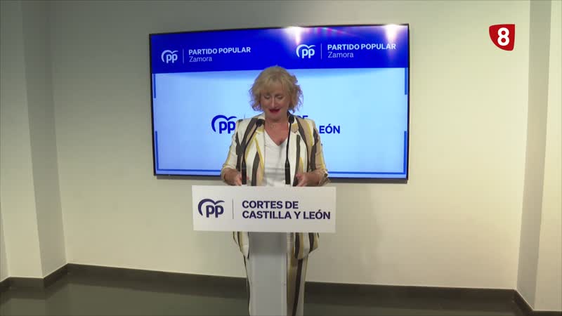 El PP pide al PSOECYL rechazar la financiación autonómica del gobierno