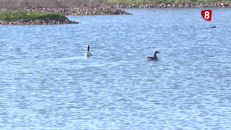 Actualidad de las plantas de biogás, los parques eólicos y los proyectos energéticos en la provincia 
