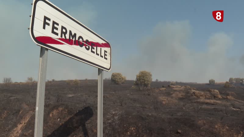 El delegado de la Junta habla de los incendios