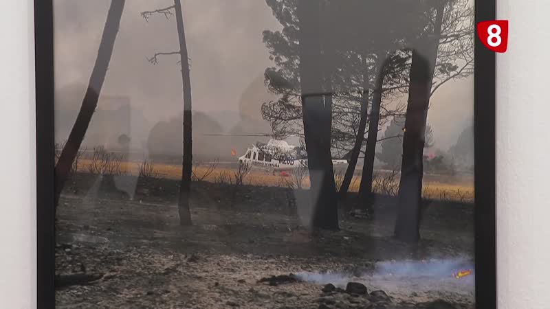 Memoria, conciencia colectiva y asesoramiento ante los incendios