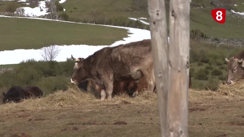 Mercosur y la PAC, preocupaciones del campo para 2026