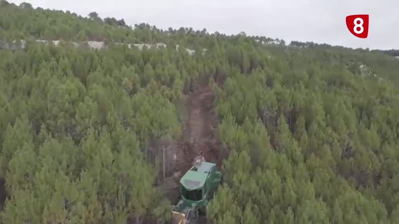 Recursos forestales para la gestión de los montes y como alternativa económica