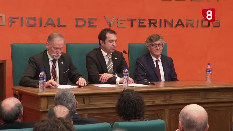 Incubar ideas para convertirlas en proyectos sólidos