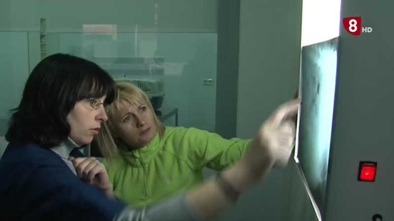 Cada vez menos autónomos