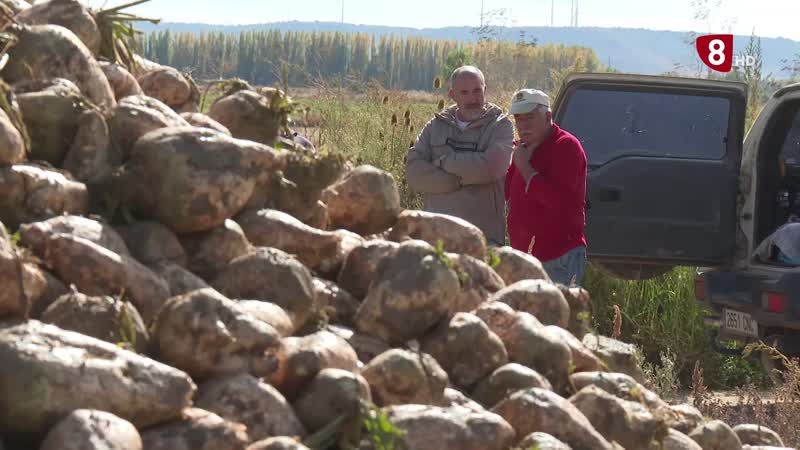 Menos superficie pero más rendimientos