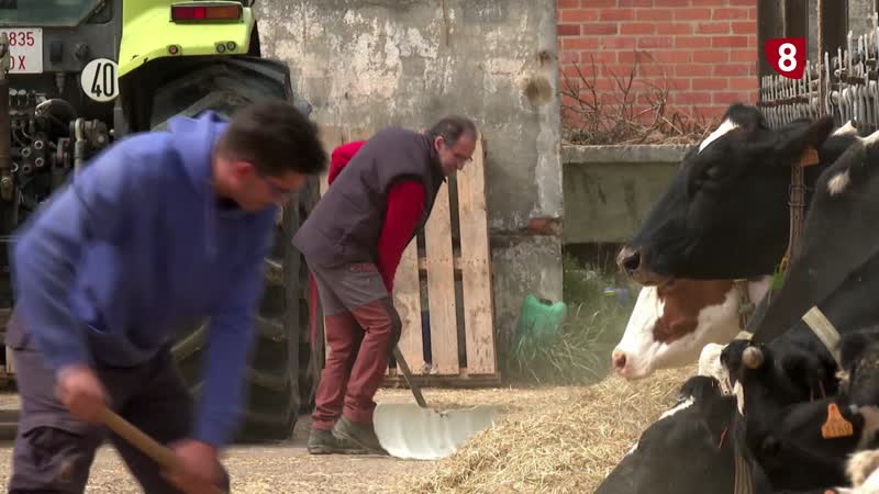 Rebaja unilateral del 15% en la leche desata la indignación del sector