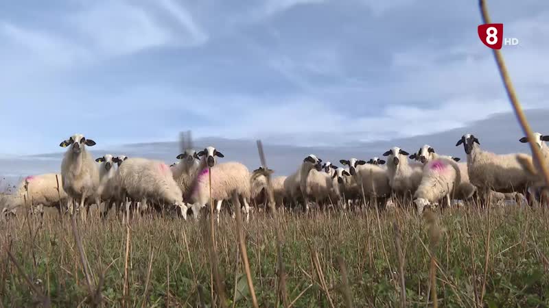 Cada vez más rentable 