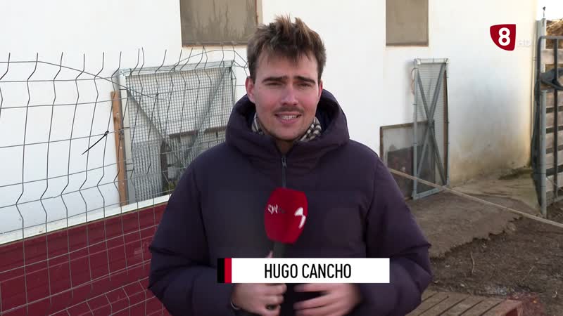 El impacto de la gripe aviar