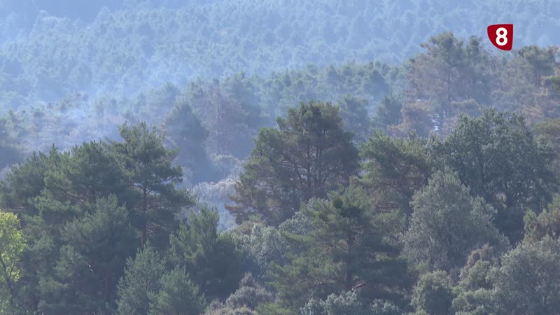 La nacional 603 sigue cortada por el incendio de Revenga