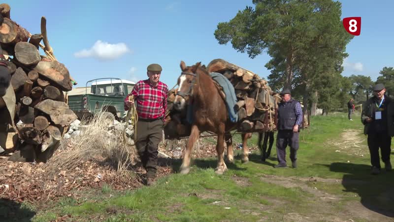 Broche final a la Fiesta de los Gabarreros