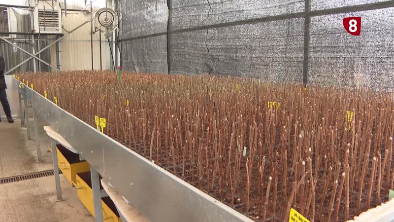 Cuatro décadas protegiendo la riqueza forestal