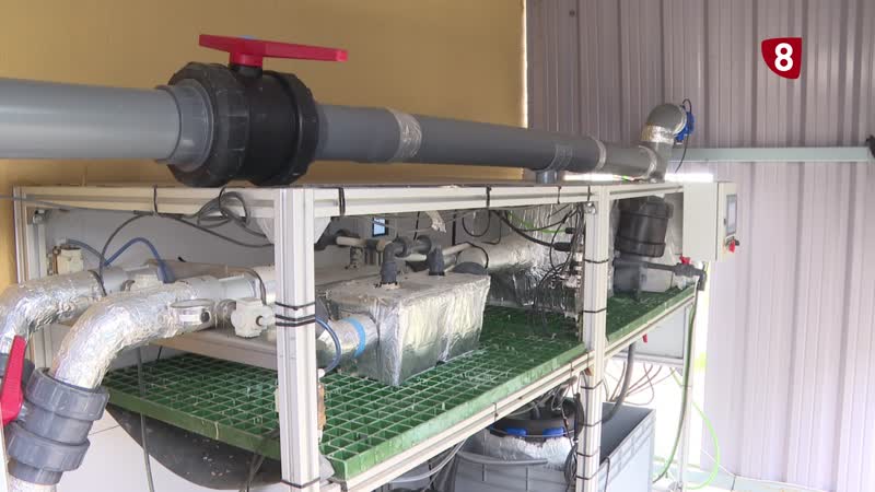 Un proyecto para reducir las emisiones de los purines