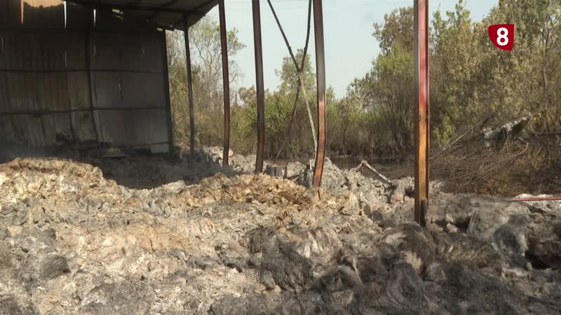El incendio de Brieva afecta a un centenar de explotaciones ganaderas
