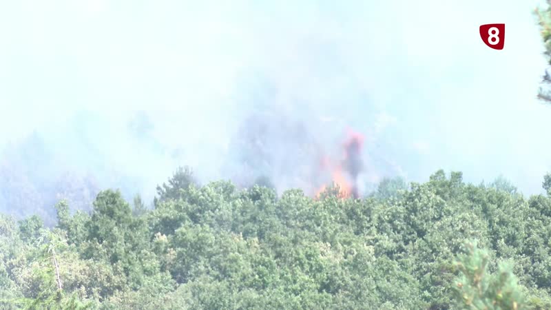 CCOO pide un operativo anti incendios cien por cien público
