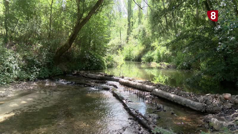 Preocupación por la escasez de agua en un verano seco