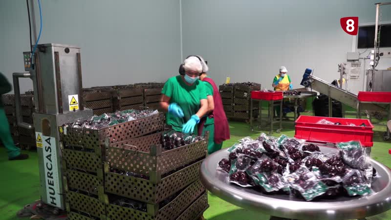 Nuevo proyecto de Huercasa 