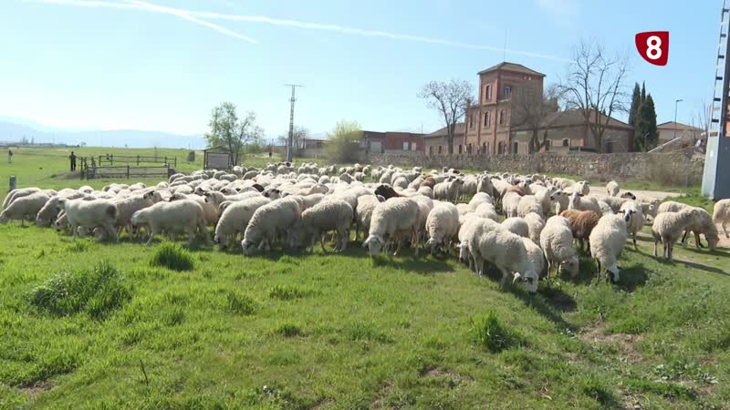 Día de las Vías Pecuarias